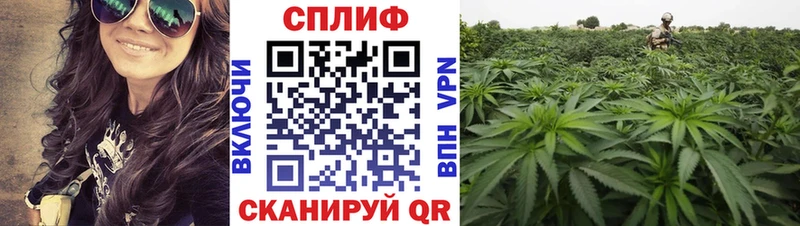 Продажа наркотиков Фурманов Амфетамин  Меф  Бошки Шишки  Cocaine 